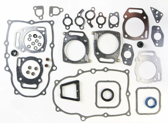 Briggs and Stratton 294447-1019-E1 Engine Gasket Rebuild Set Compatible Replacement