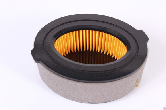MTD 170-C0A Engine Air Filter Compatible Replacement